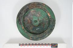 Foto von Bronzephalere (NHMW-PRAE-025544)